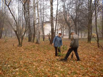 В рамках реализации осеннего этапа Дня дерева в городе Шумерле